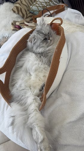 Customer photo review of Effico™ Handgeweven Krabmand voor Katten
