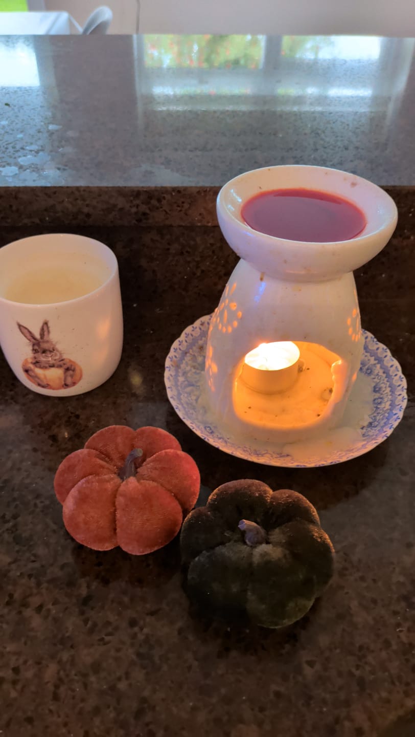 Customer photo review of Cherries - Handmade Wax Melts Box
