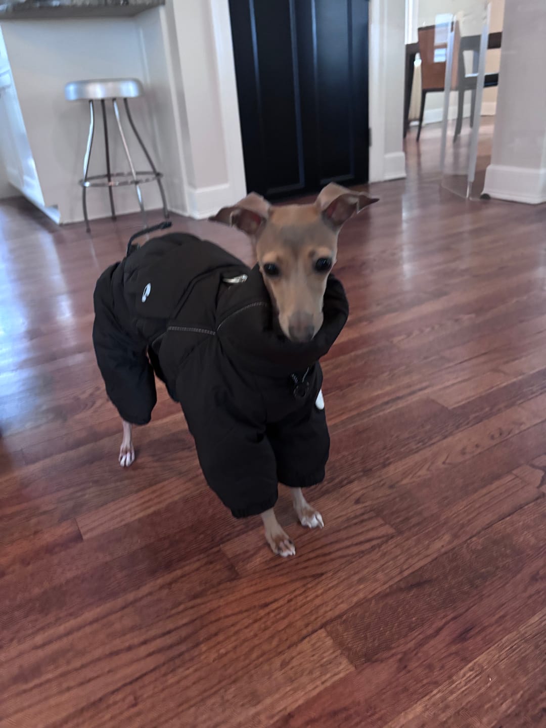Customer photo review of Winter Polar Down Suit