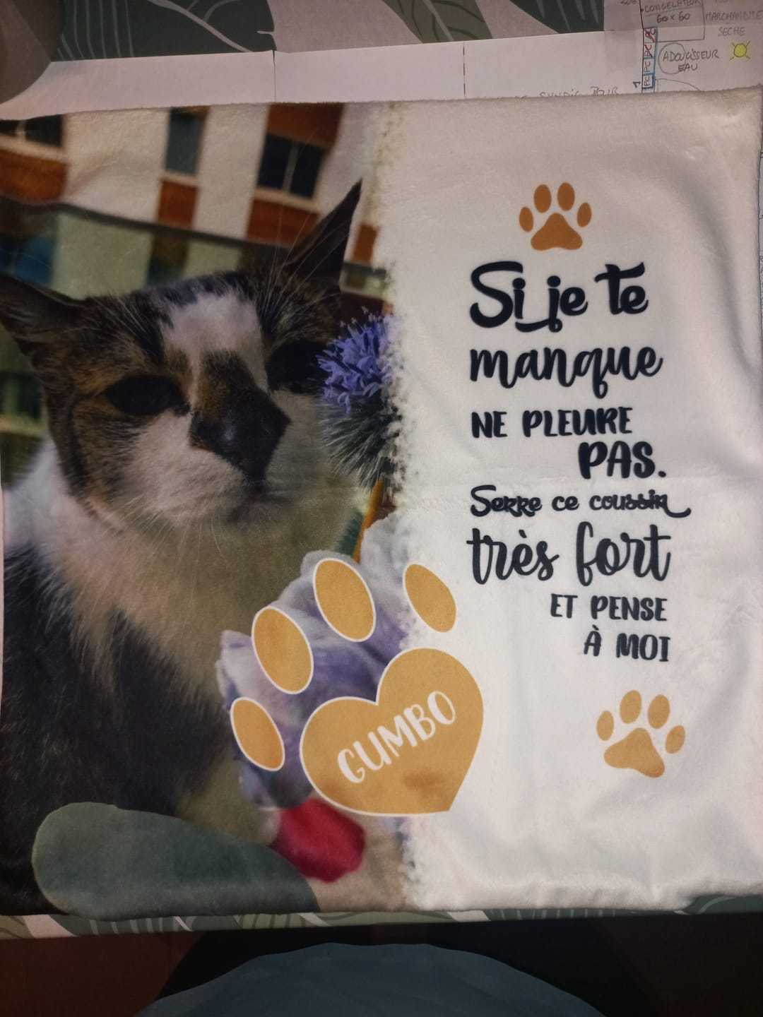 Customer photo review of Si je te manque - Coussin personnalisé