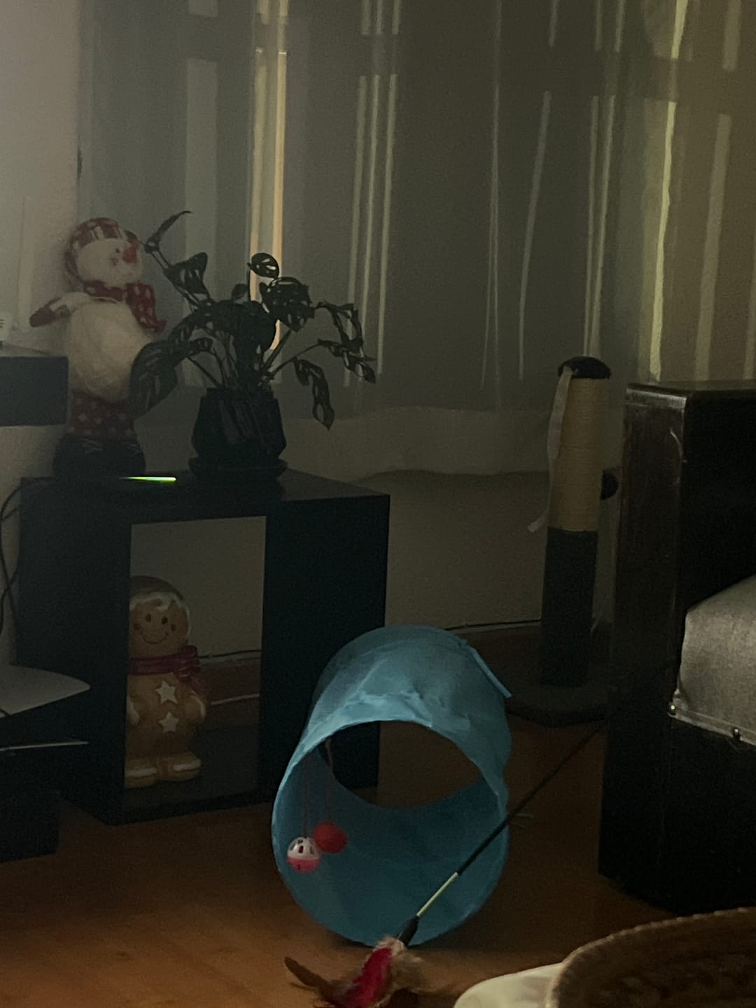 Customer photo review of CT4123 1 Set De Tunel con Juguetes Para Mascota