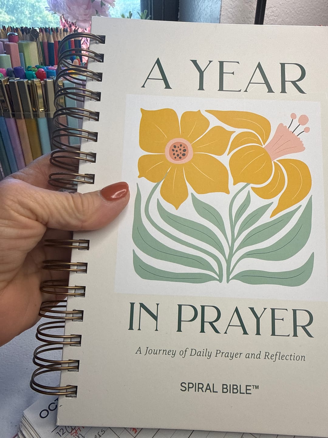 Customer photo review of A Year In Prayer: A Journey of Daily Prayer and Reflection