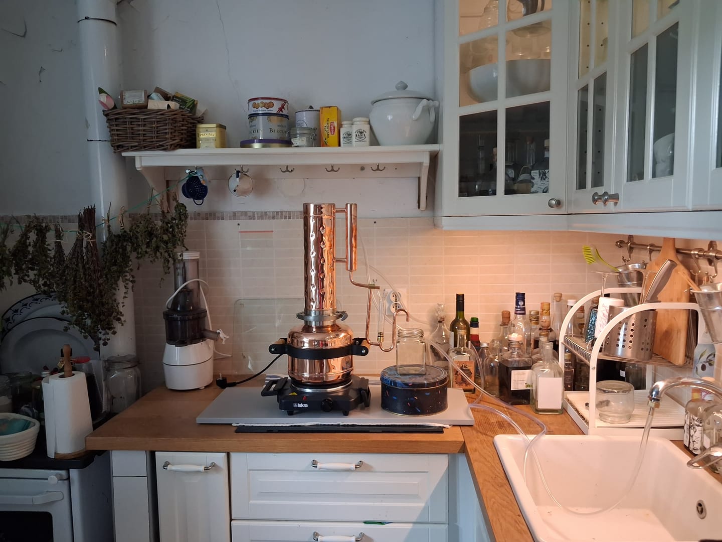 Customer photo review of Essential Oil Distiller 2,5Gal/9L - Advanced Kit