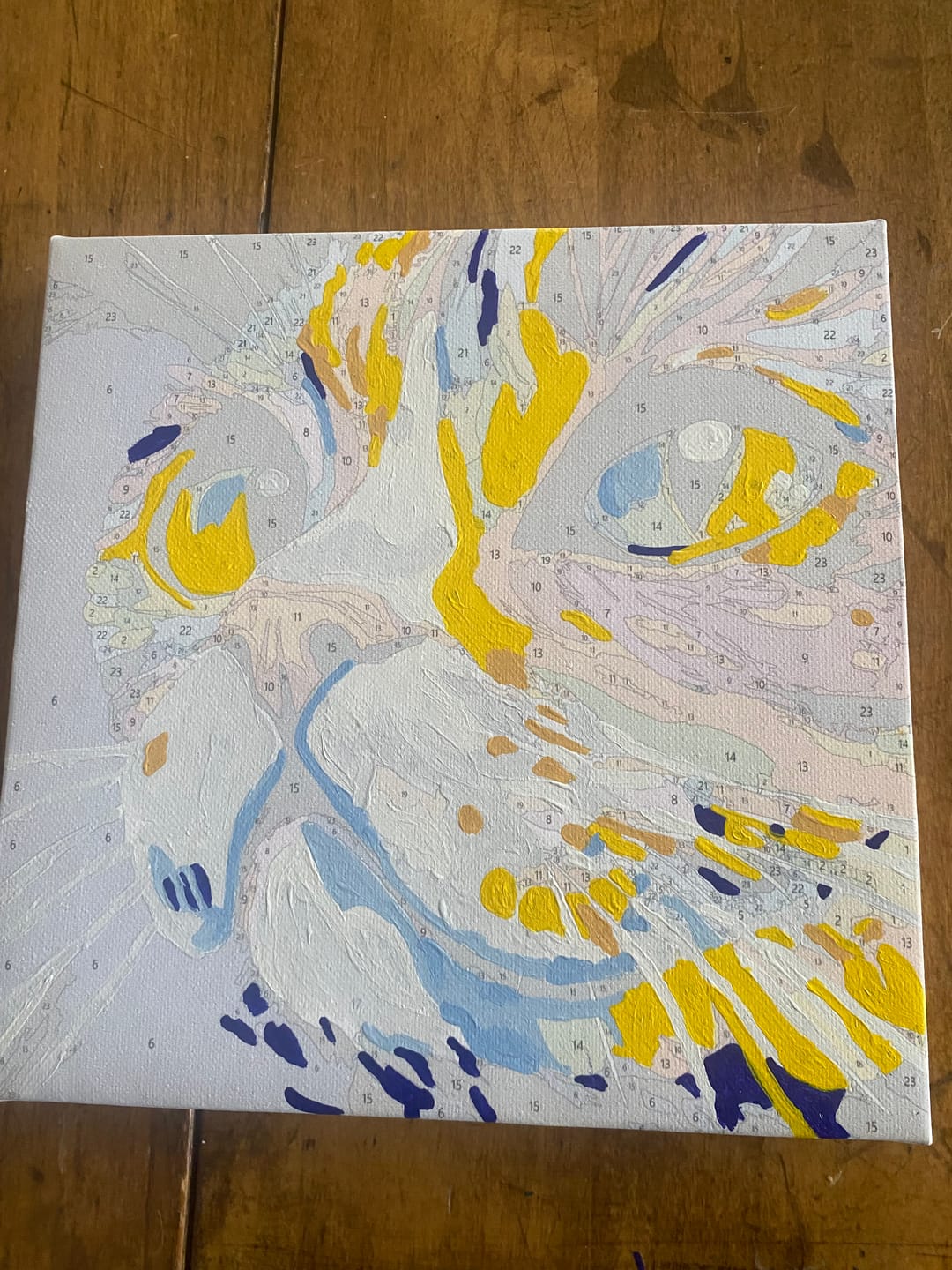 Customer photo review of Mini Paint by Number with Frame - Colorful Cat