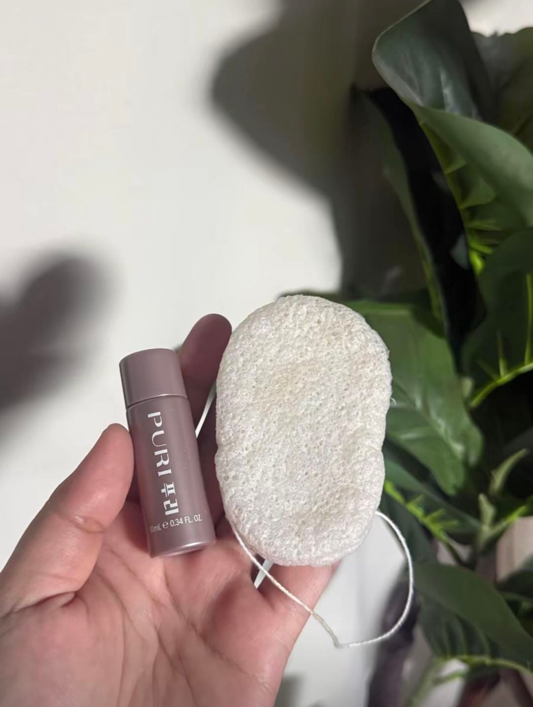 Customer photo review of [Pre-order 30 Day] Vegan Konjac Sponge ฟองน้ำล้างหน้าใยบุก อ่อนโยน ขจัดสิวเสี้ยน รับฟรี! คลีนซิ่งเจลระเบิดเมคอัพ