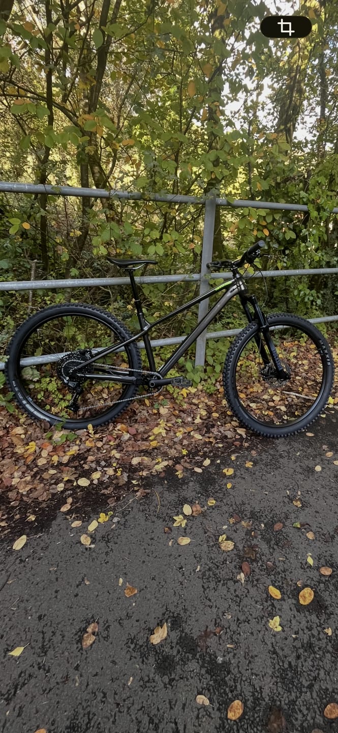 Customer photo review of Rockshox Recon Silver RL Crown SoloAir Boost Suspension Forks - 29"