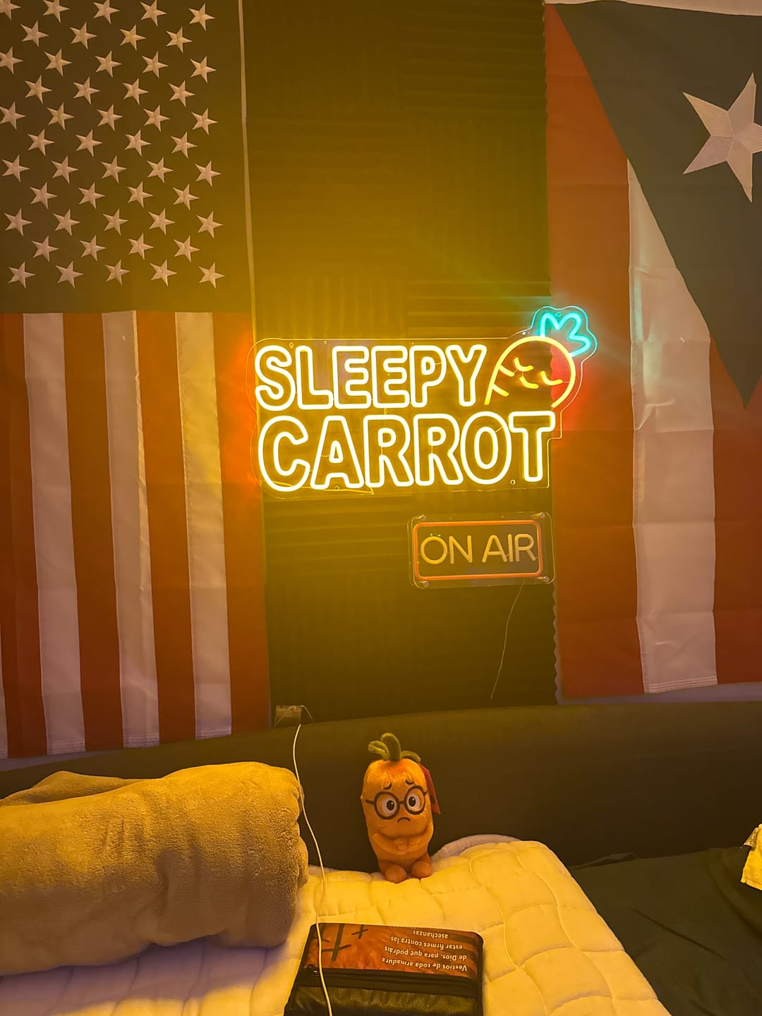 Customer photo review of SLEEPY CARROT | LED Neon Sign