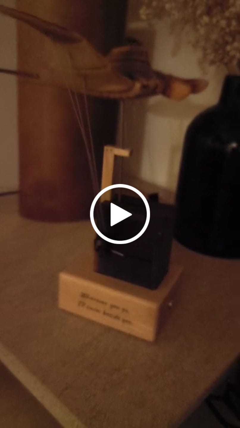 Customer video review of MarinerPoet Handcrafted Wooden Manta Ray Automaton