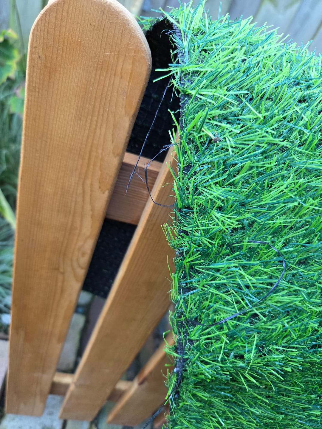 Customer photo review of Zenvana - Grasachtige Toiletmat Huisdieren
