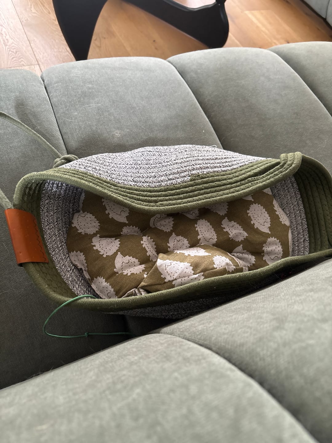 Customer photo review of Instinct Basket | Meet the first research-backed natural territory for indoor cats
