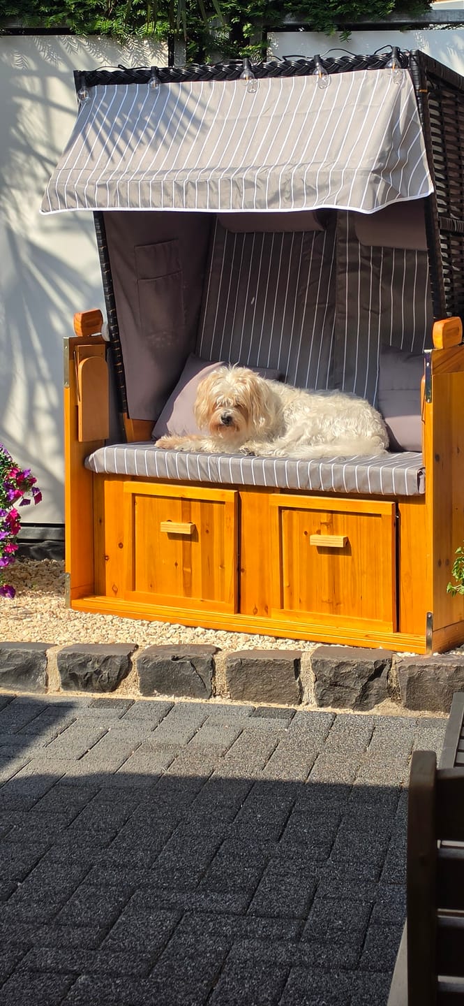 Customer photo review of NordSeele™ Strandkorb Sylt