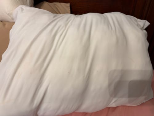 Customer photo review of Puff Pillow