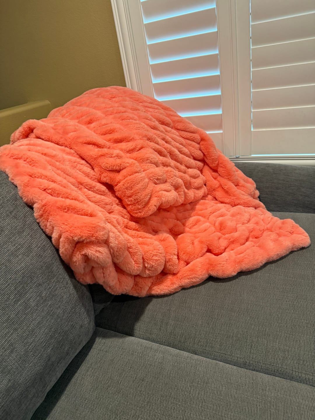 Customer photo review of Hugs Sweet Peach Blanket