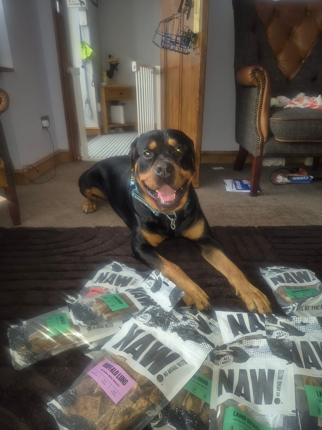 Customer photo review of Lamb Braid (100g)