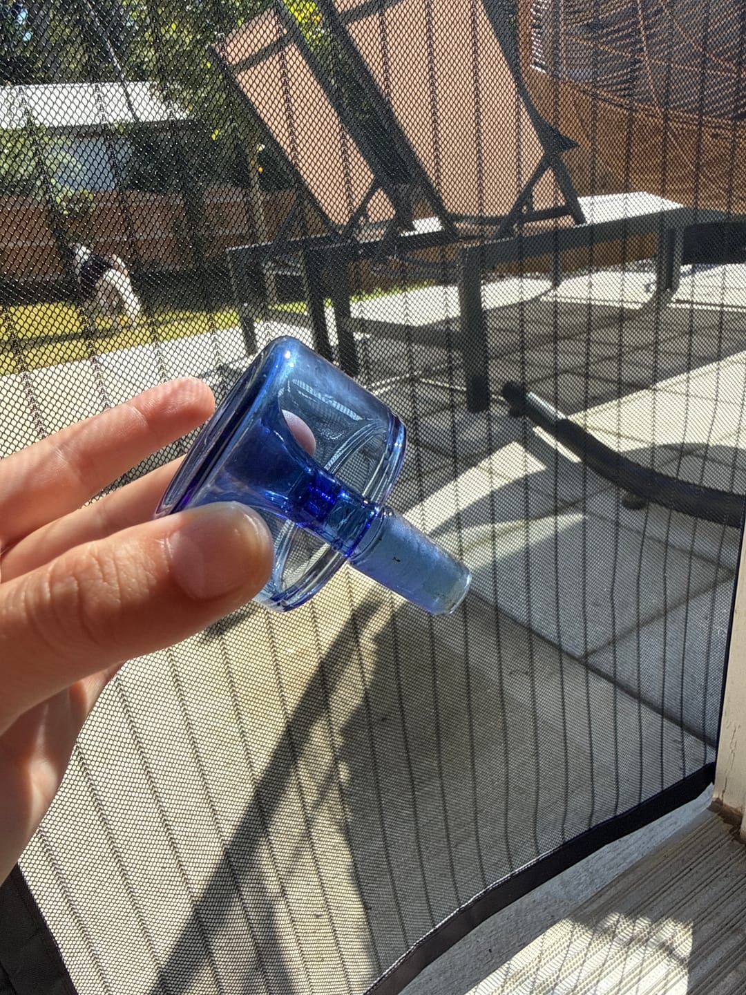 Customer photo review of Vesper Bowl