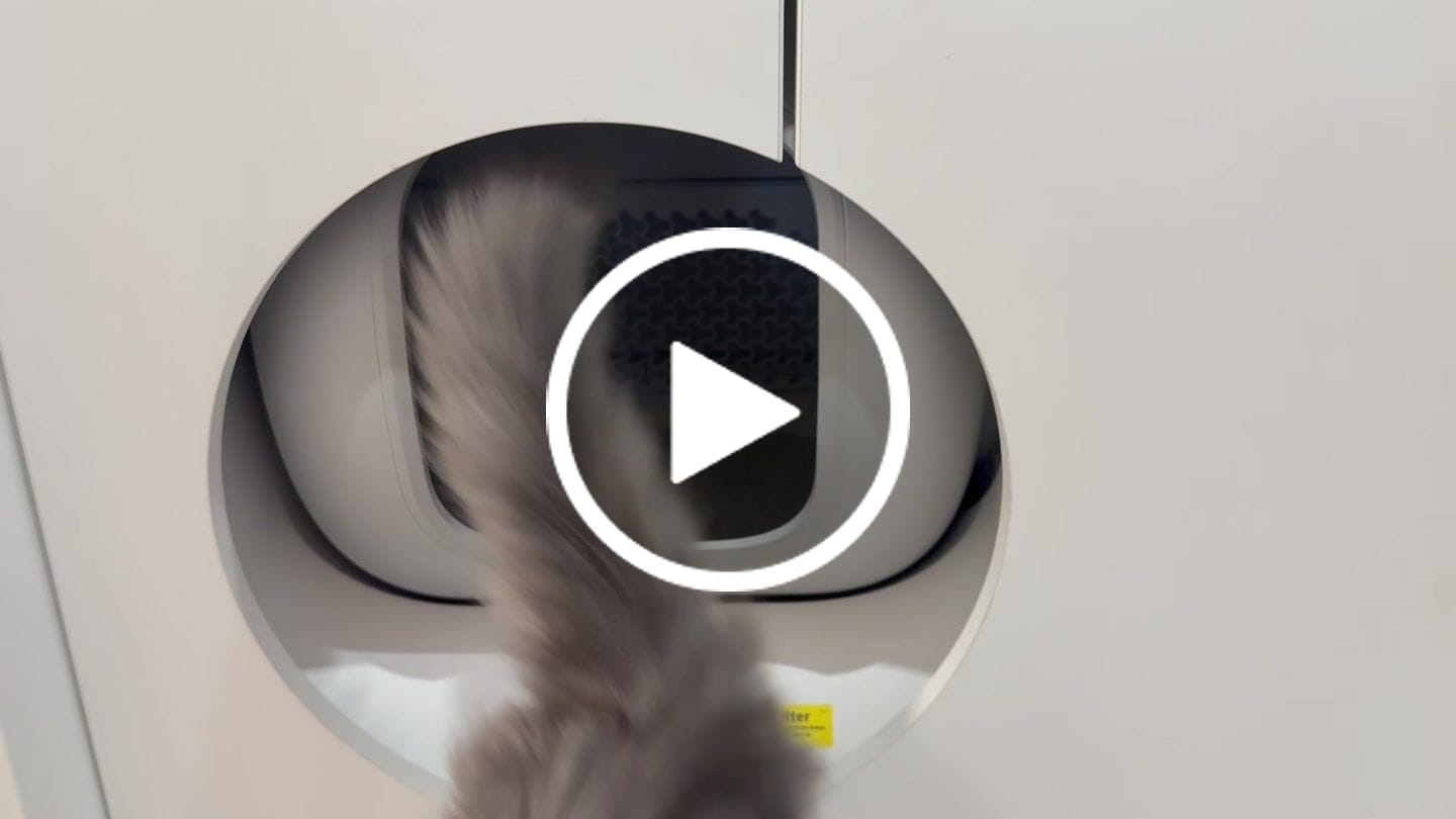 Customer video review of Furbulous Box
