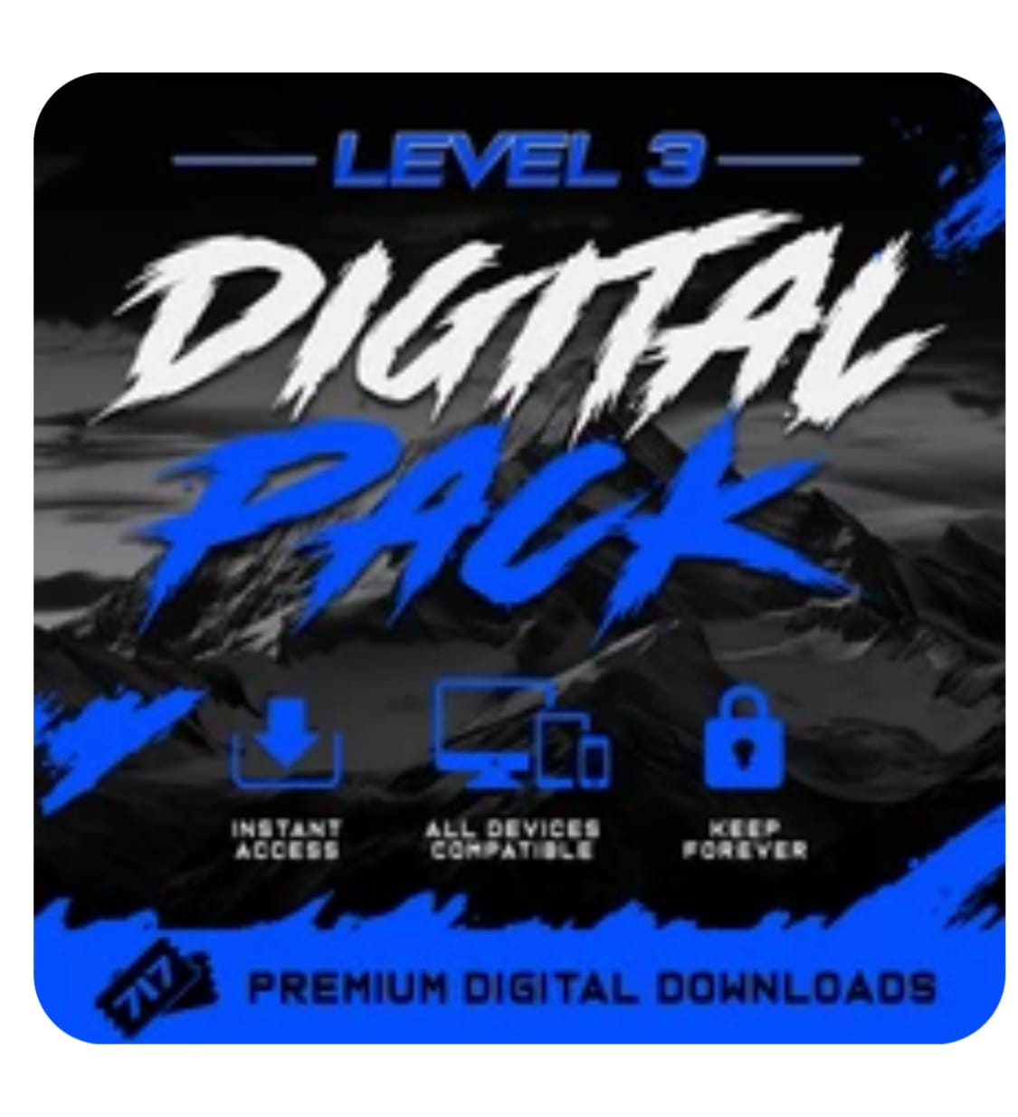 Customer photo review of Digital Pack — Level 3
