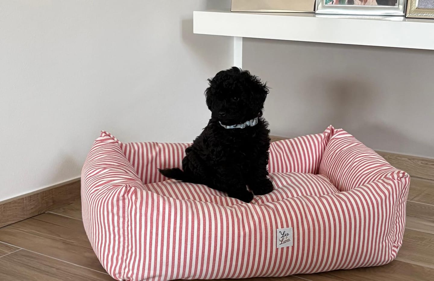 Customer photo review of Divanetto Cotone Righe Strette Rosso