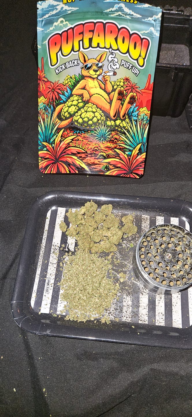 Customer photo review of Good Day - Black Cherry Runtz - 14 Grams - Indica