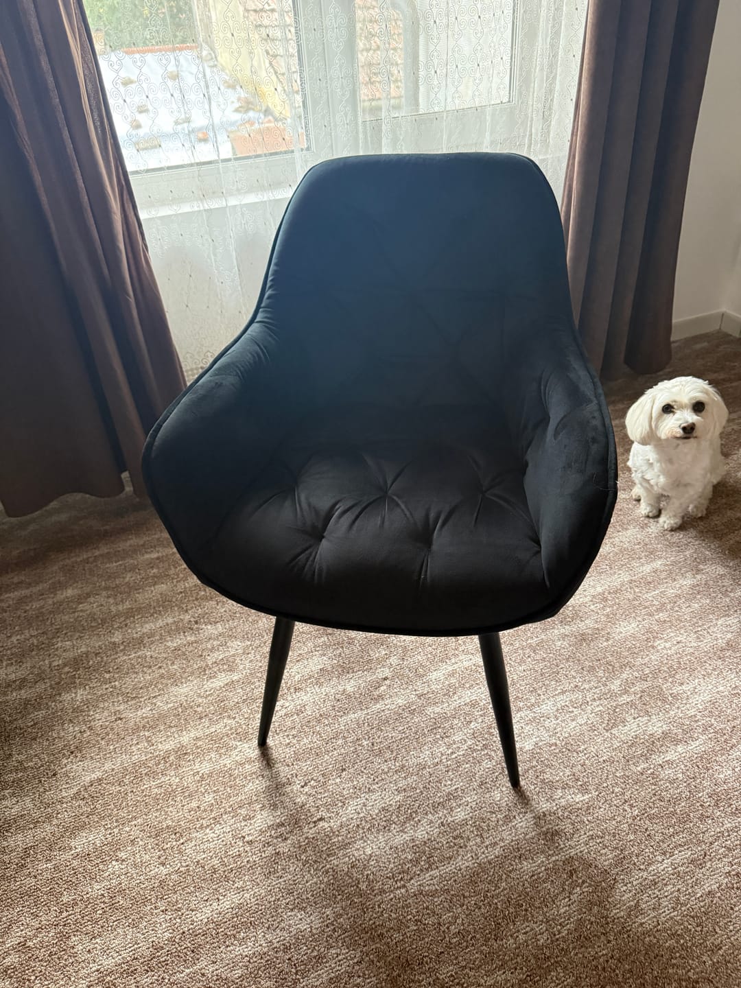 Customer photo review of Scaun tapitat modern CHERRY, negru, stofa catifelata/metal, 58x57x87 cm