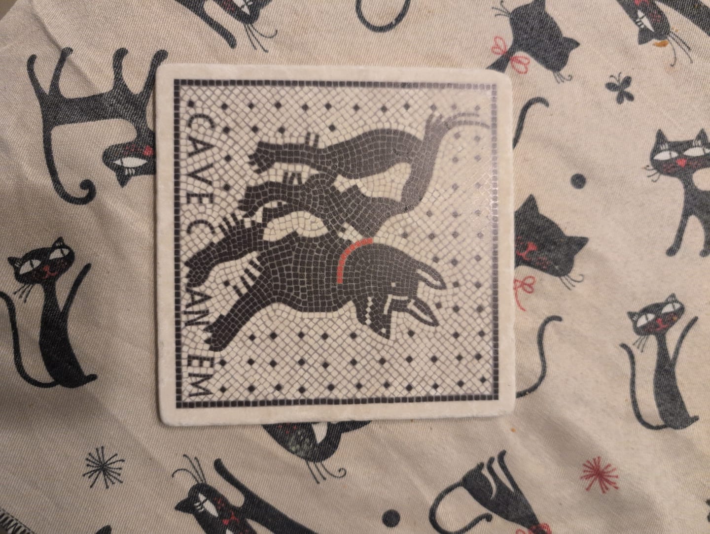 Customer photo review of Piastrella Cave Canem Pompei