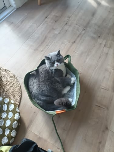 Customer photo review of Effico™ Handgeweven Krabmand voor Katten