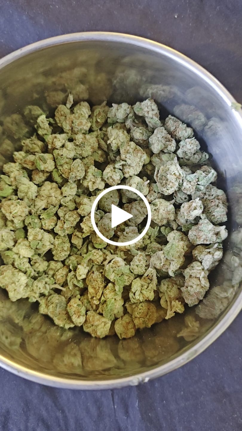 Customer video review of Blueberry Skittlez (Indoor Smalls) - THCA Flower