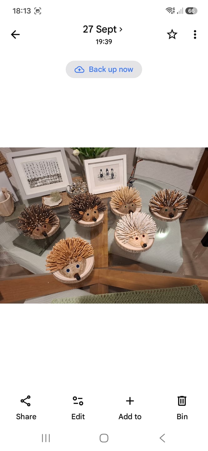 Customer photo review of 100% Natural Oval Coconut Shell Bowl