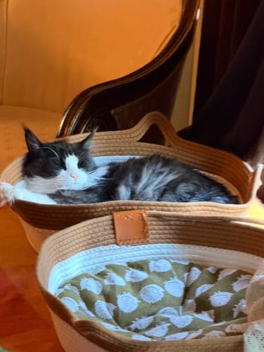 Customer photo review of Effico™ Handgeweven Krabmand voor Katten
