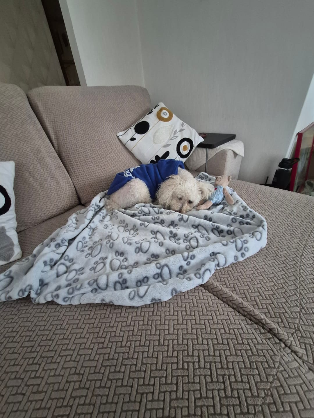 Customer photo review of Manta suave — Menos ansiedad