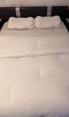 Customer photo review of CloudAlign Pillow