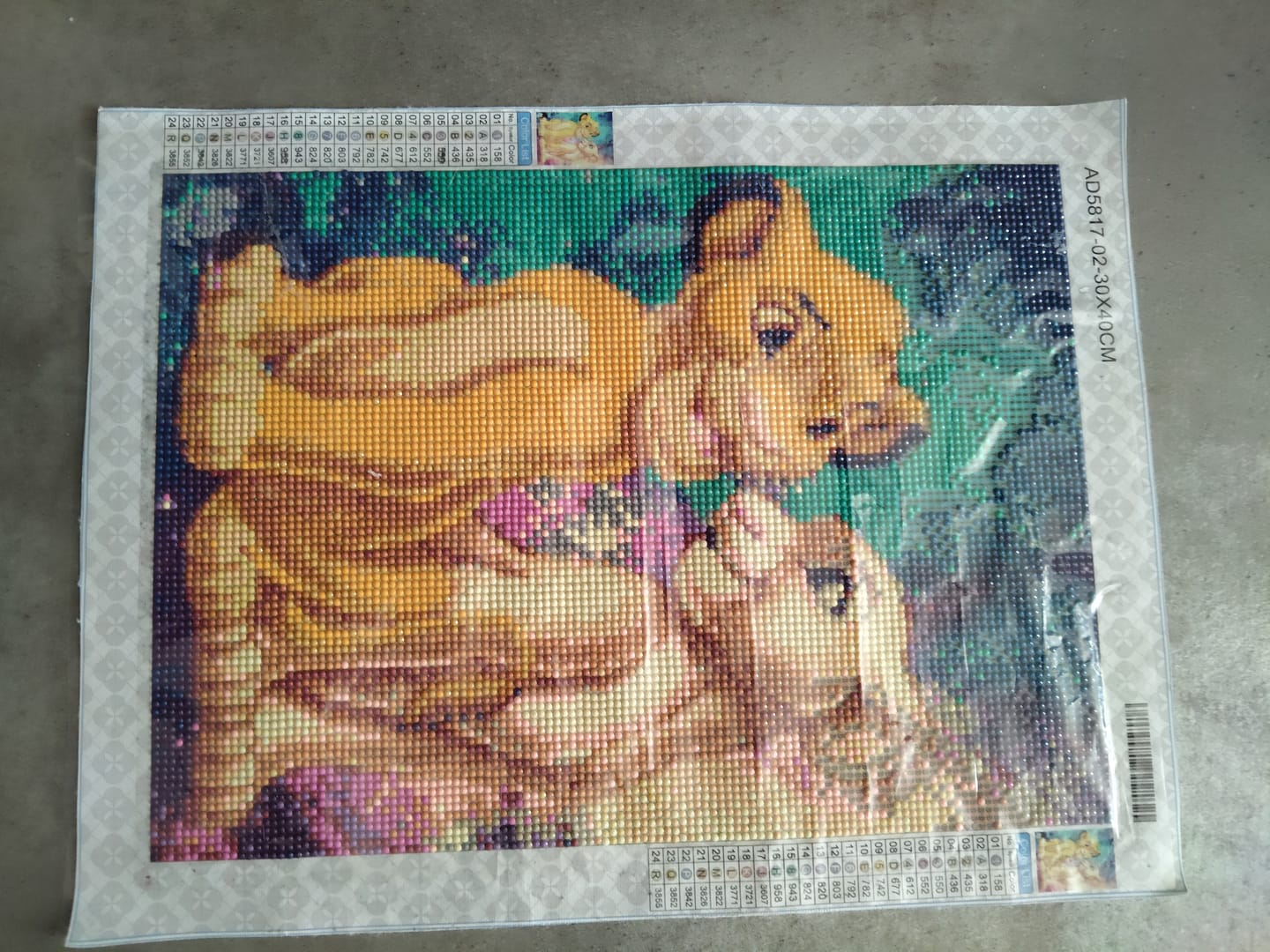 Customer photo review of Sachets de Diamants additionnels pour la Broderie Diamant