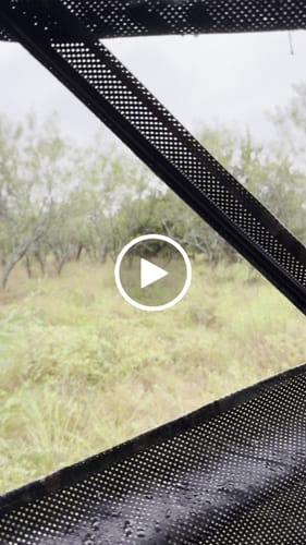 Customer video review of VisST 270° See Through Ground Blinds | Pop Up Portable Blinds for 2 3 Person Deer Hunting with Silent Magnetic Door