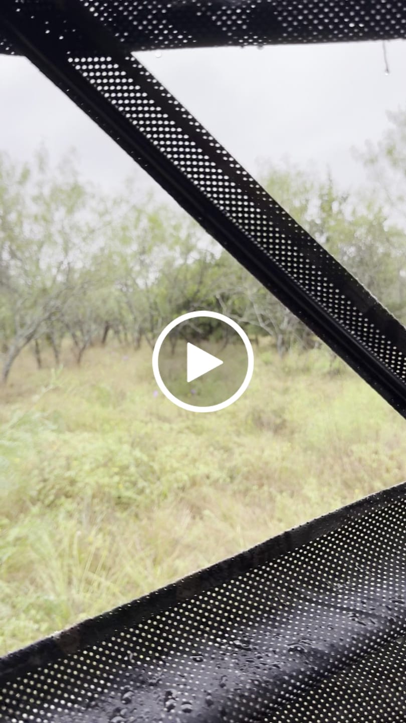 Customer video review of VisST 270° See Through Ground Blinds | Pop Up Portable Blinds for 2 3 Person Deer Hunting with Silent Magnetic Door