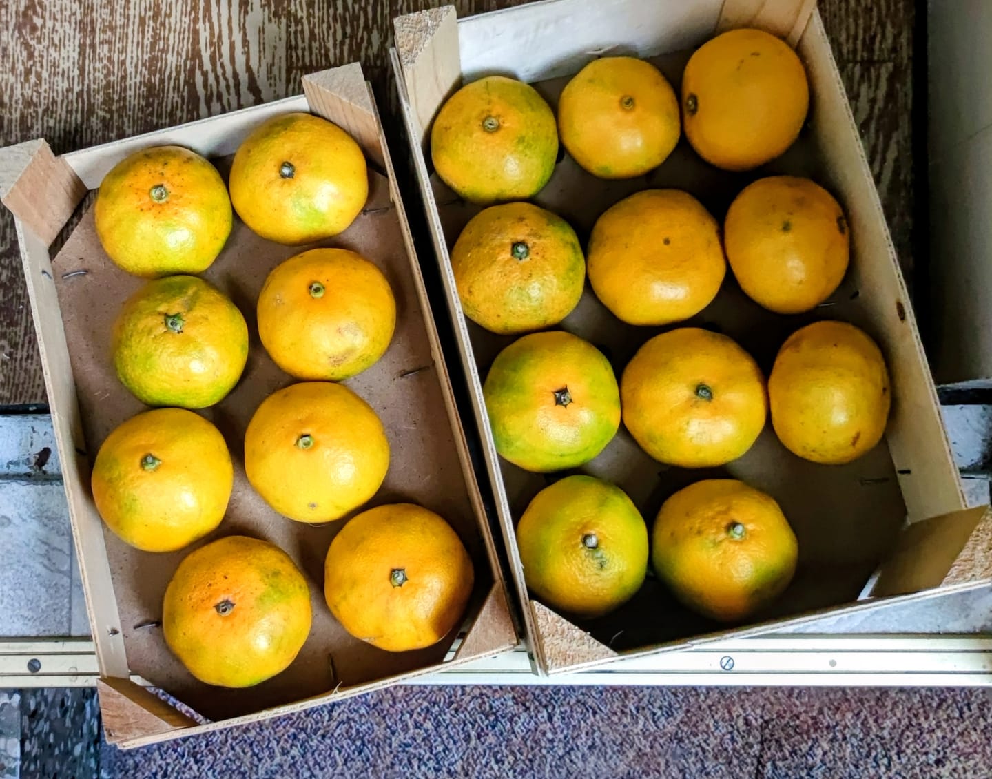 Customer photo review of Mandarinen Satsumas Bio