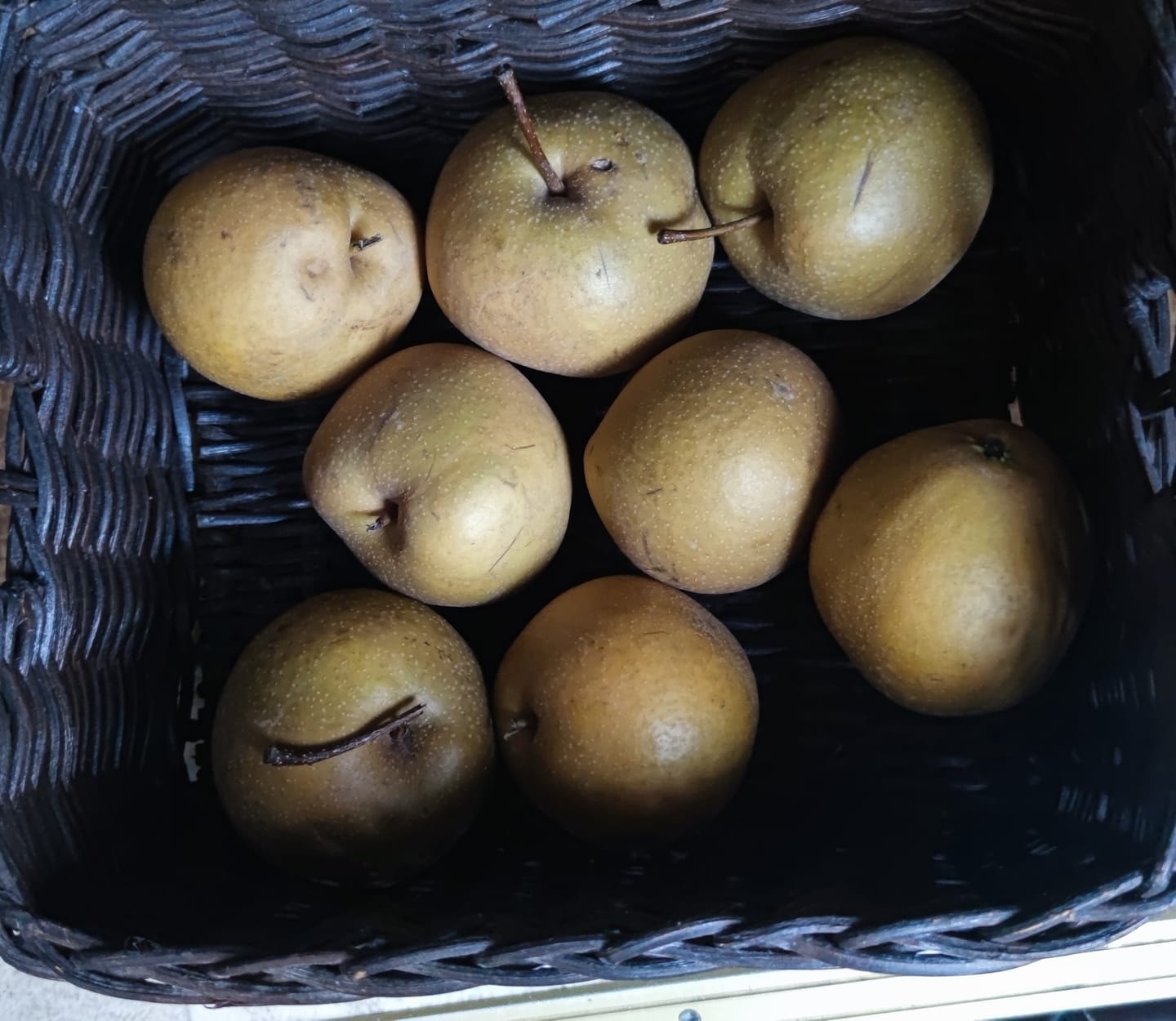 Customer photo review of Birne "Nashi" Bio demeter aus Italien
