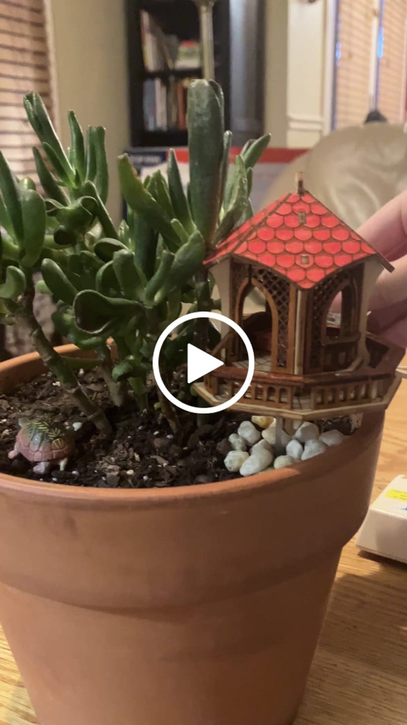 Customer video review of Twilight Gazebo
