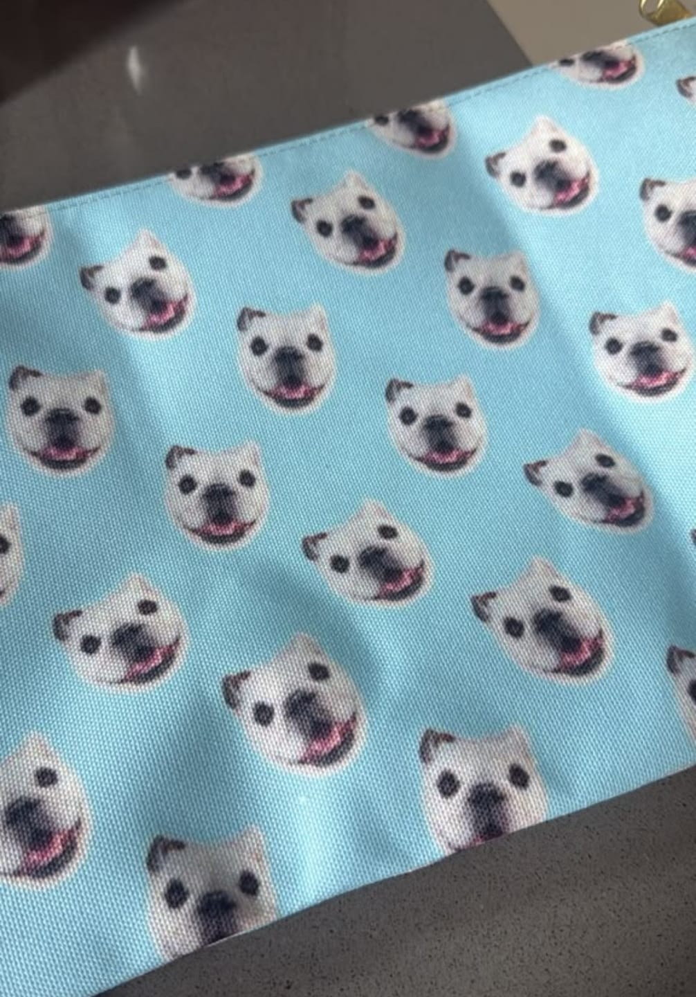Customer photo review of Custom Pet Art Accessory Pouch