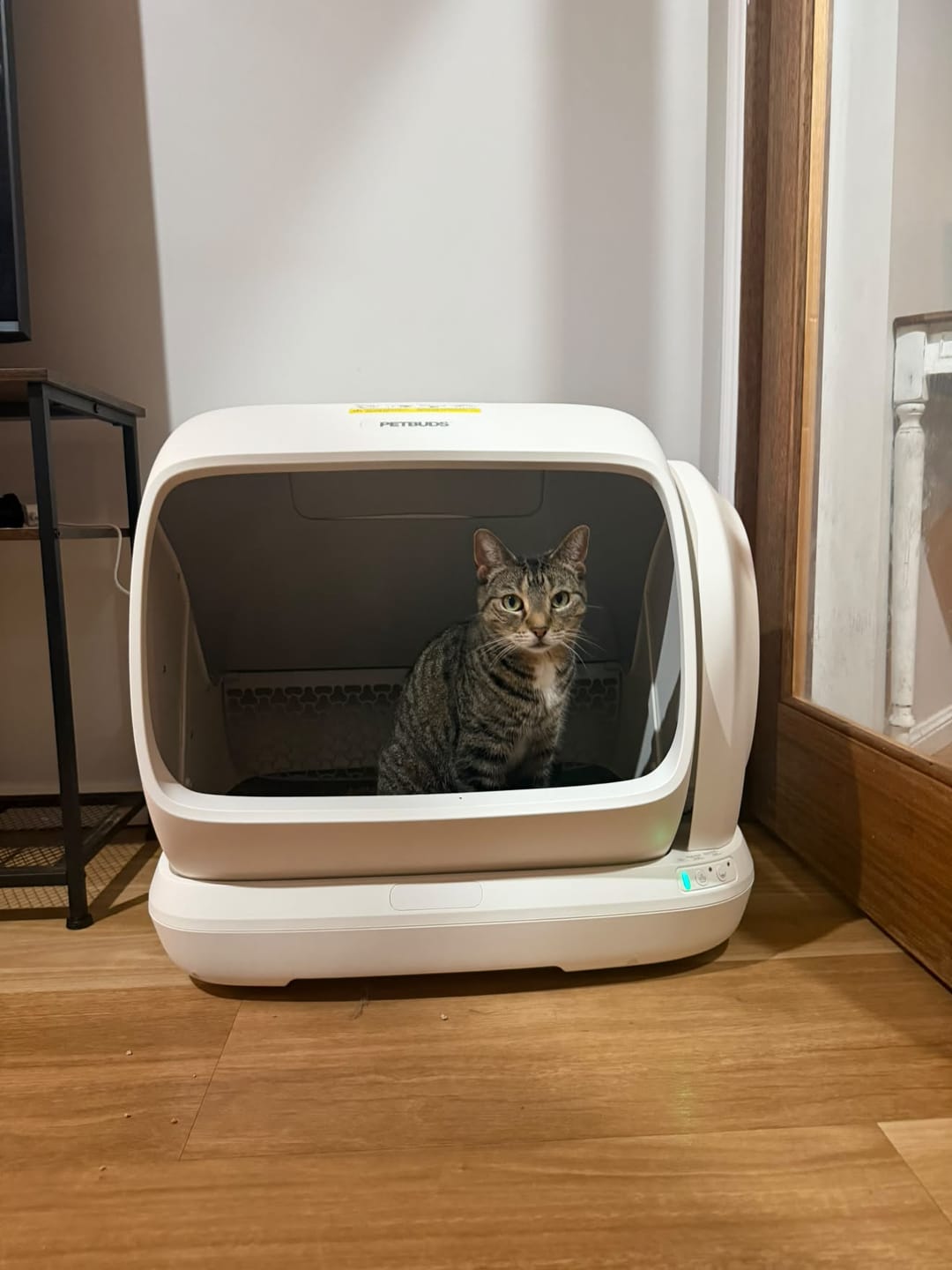 Customer photo review of The Petbuds MAX Automatic Self-Cleaning Litter Box