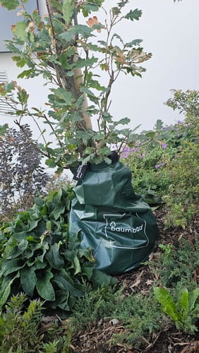 Customer photo review of 10er Pack baumbad Premium Baumbewässerungsbeutel 75 Liter / Wassersack
