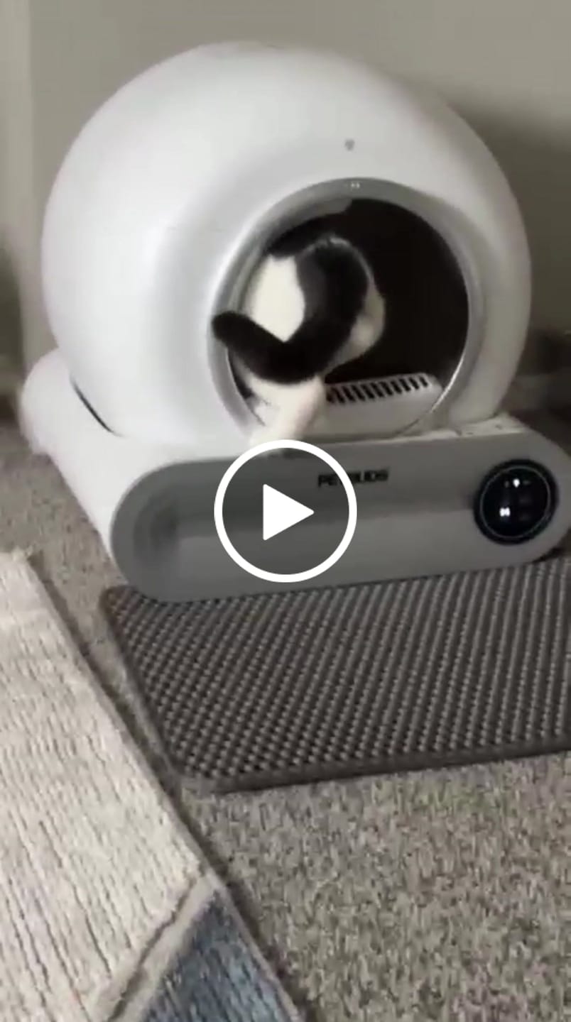 Customer video review of Petbuds™ Pro 2026 Automatic Self-Cleaning Litter Box