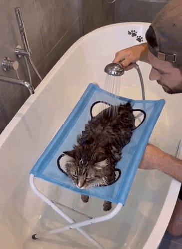 Customer photo review of pawlift™-grooming-hammock