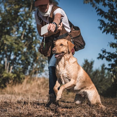 Customer photo review of Strotonin Dog Support