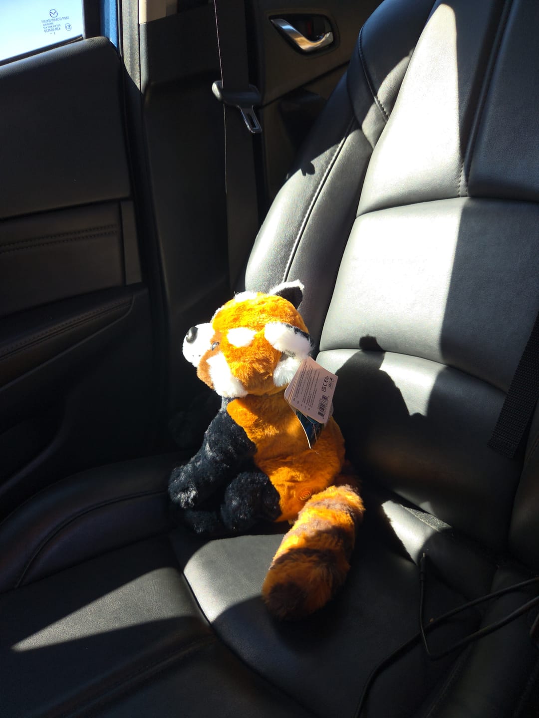Customer photo review of The Dash Plush