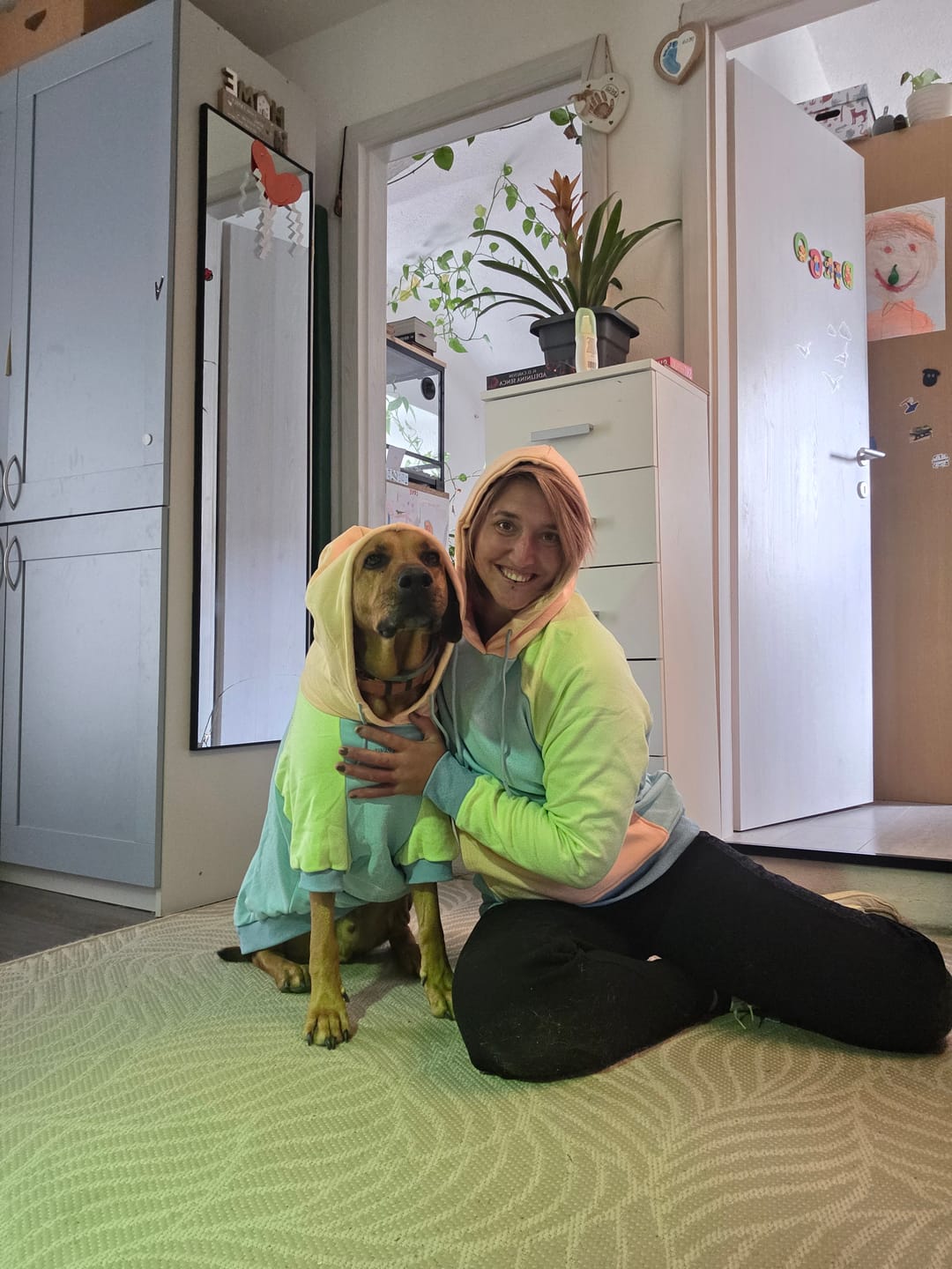 Customer photo review of Color Block Dog Hoodies