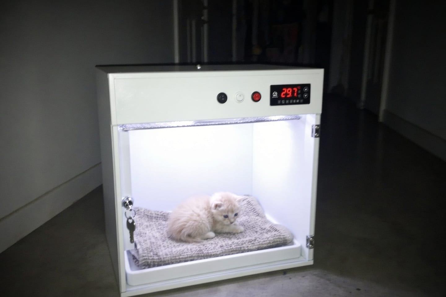 Customer photo review of Kiba Nest Warm-Air Nursery