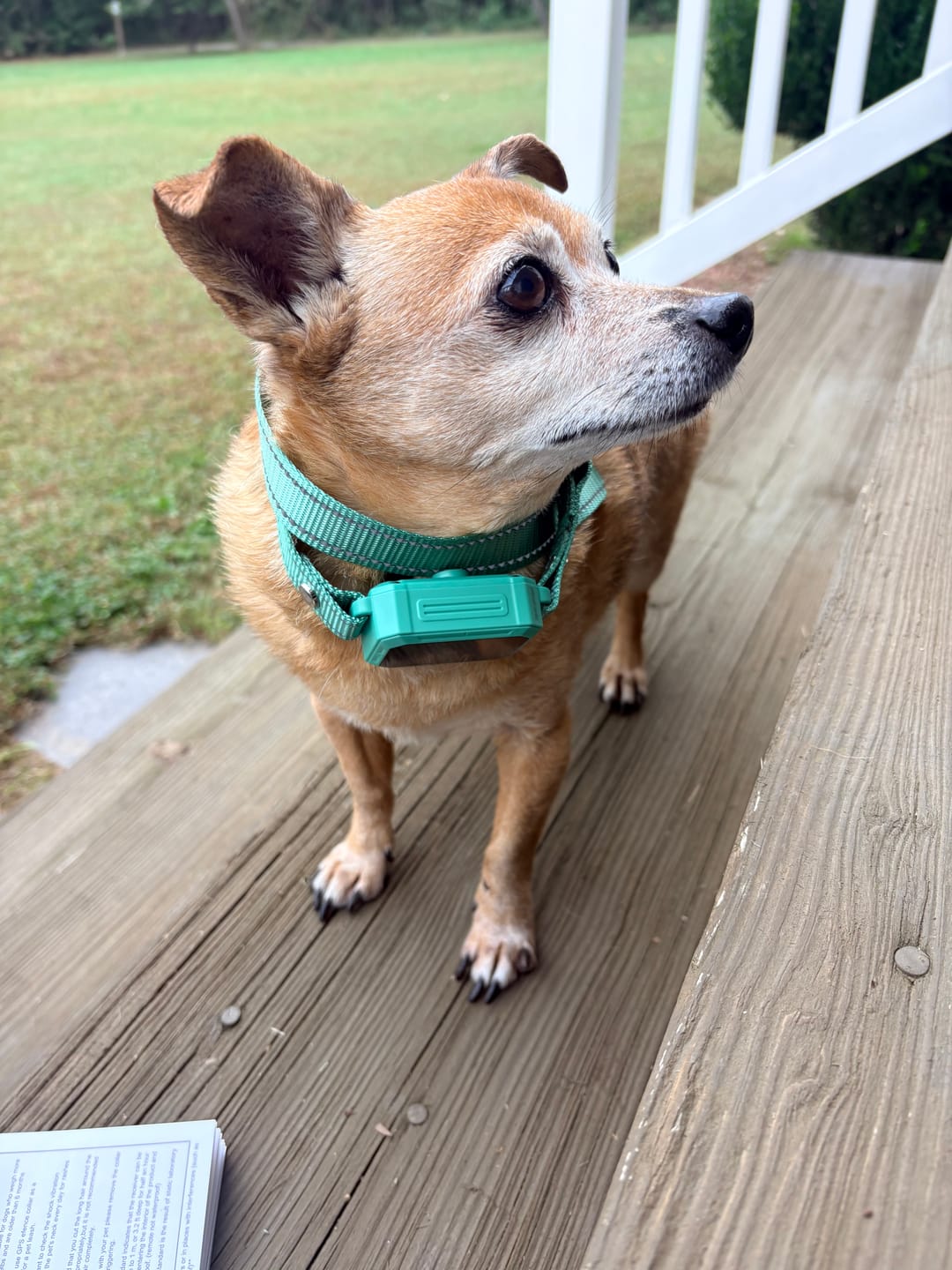 Customer photo review of PawTronic Pro Series 2 - Wireless GPS Dog Fence