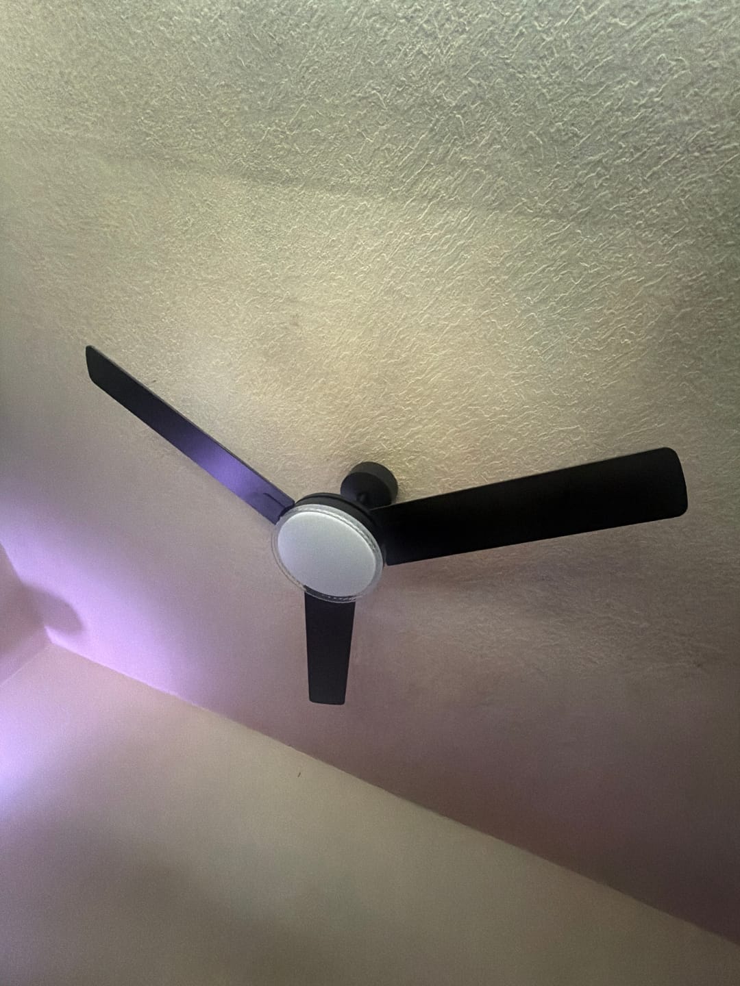 Customer photo review of Smart Ceiling Fan 334S