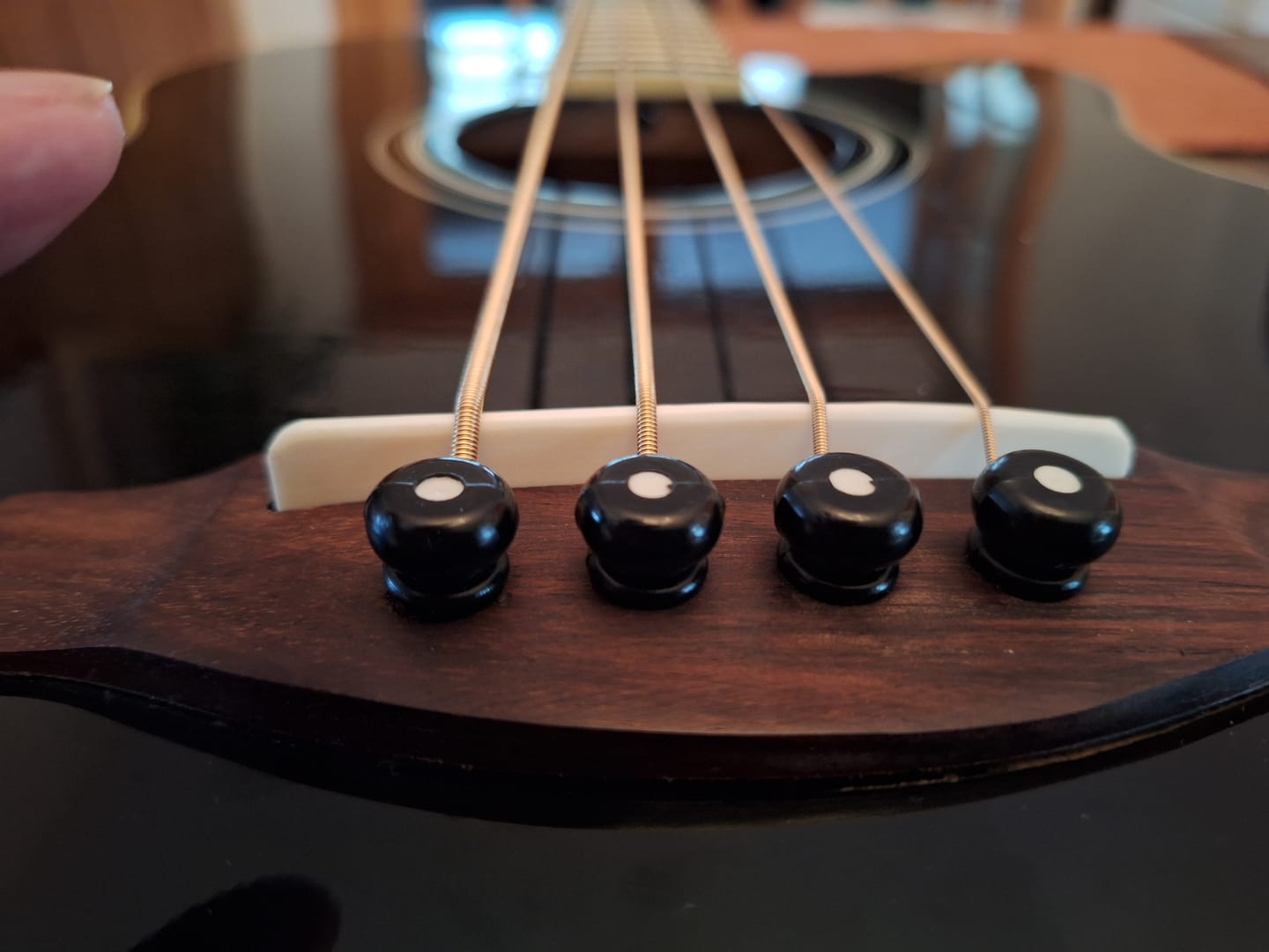Customer photo review of Hosco Flat Bottom Blank Bone Saddle - 108x12x2.8mm by JOBOIS