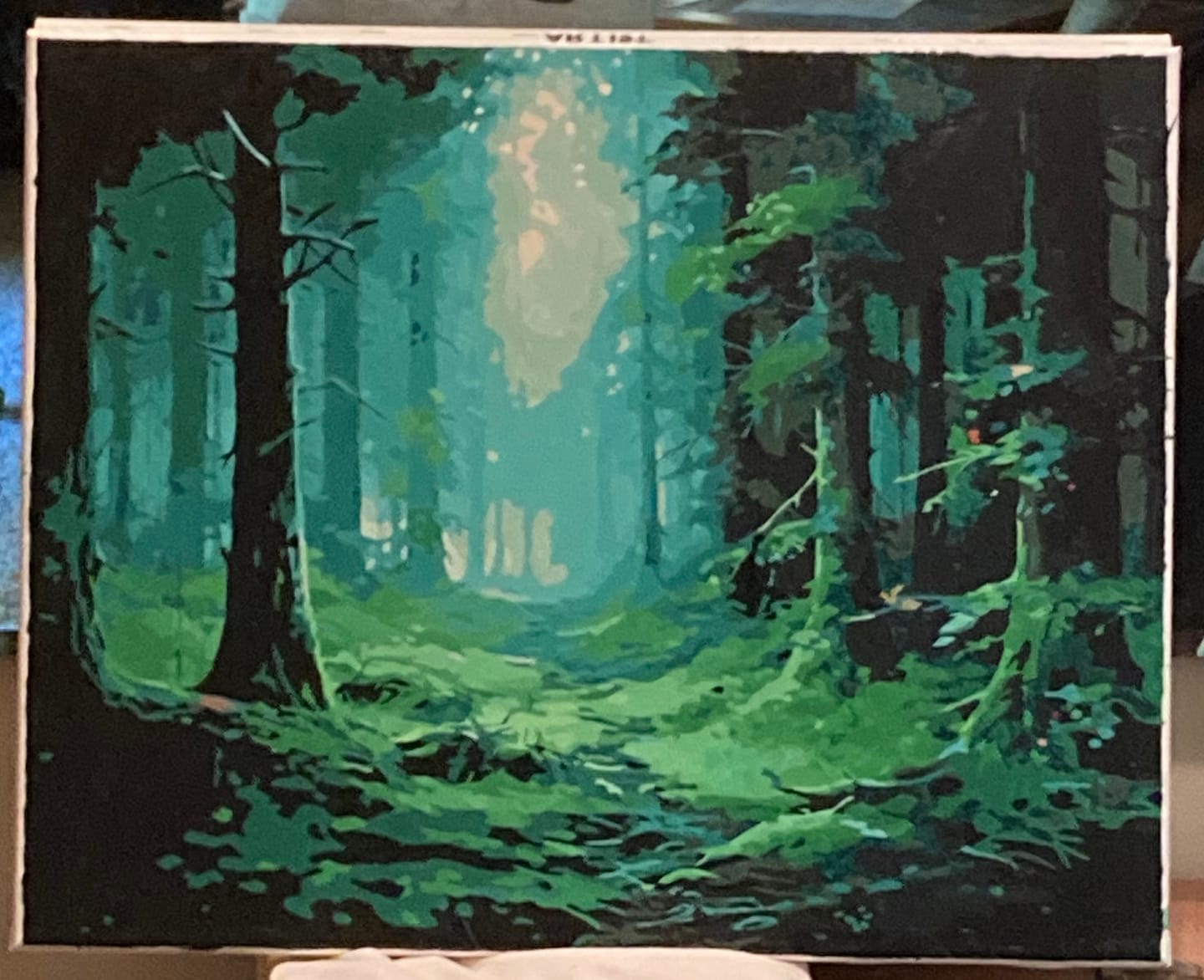 Customer photo review of Misty Forest